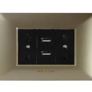 Enchufe doble + USB dorado